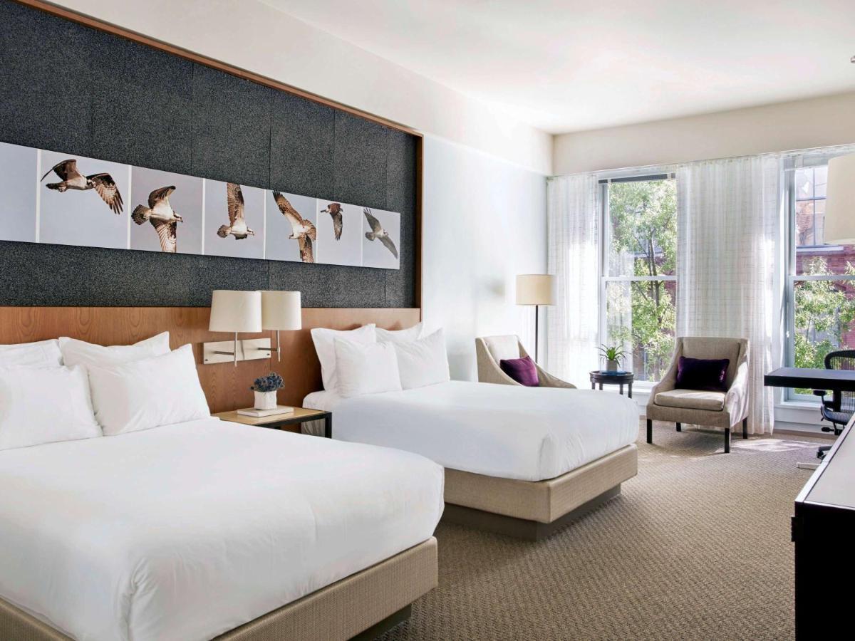 Luxury Double Room,542608593:JPEG